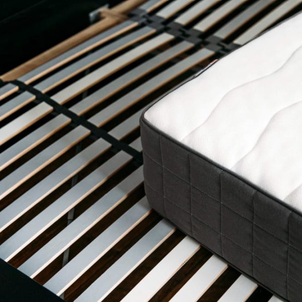 nucleo muelle bonell